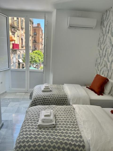 Ad1b Arenal 3br Apartment, 250 Mtrs From Cathedral